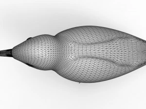 Humming Bird 3D Model