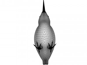 Humming Bird 3D Model
