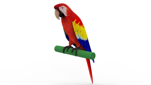Parrot 3D 모델 .c4d .max .obj .3ds .fbx .stl .blend 