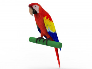 Parrot Modelo 3D