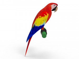 Parrot 3D 모델
