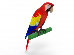 Parrot 3D 모델