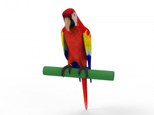 Parrot 3D 모델