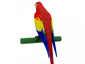 Parrot 3D 모델