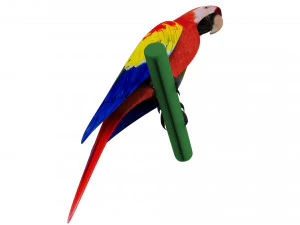 Parrot 3D Model