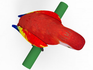 Parrot 3D 모델