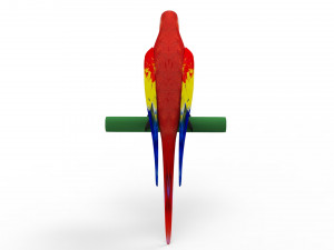 Parrot 3D 모델