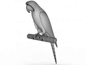 Parrot 3D 모델