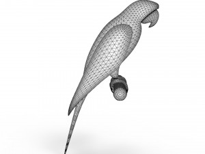 Parrot 3D 모델