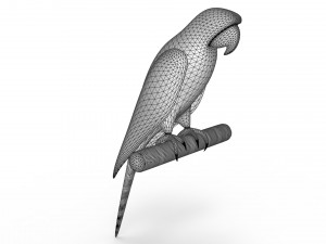 Parrot 3D 모델