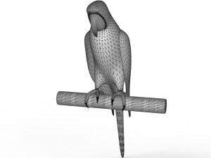Parrot 3D 모델