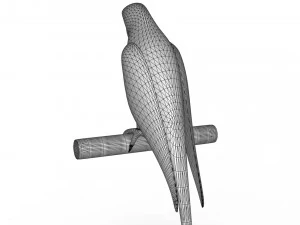 Parrot 3D Model