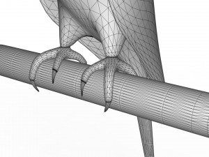 Parrot 3D 모델