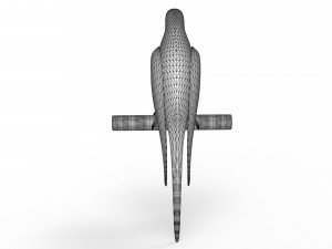 Parrot 3D 모델