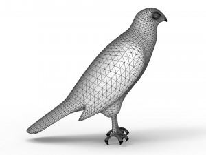 Hawk Modelo 3D