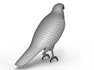 Hawk 3D Model