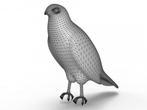 Hawk Modelo 3D