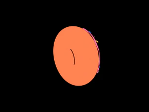 2d anime donut 3D Model