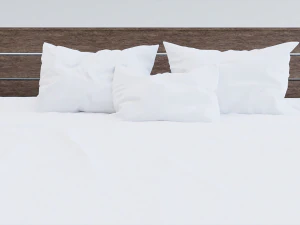 Bed Model 3D Model