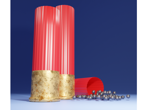 SHOTGUN CARTRIDGES 36-Caliber Model 3D