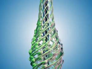 The Modern Vase 3D Model