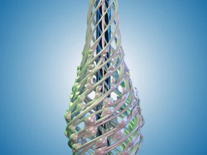 The Modern Vase 3D Model