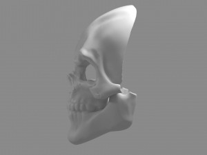 Skull Modèles 3D en vedette