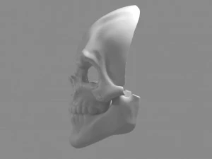 Skull 3D Print Model