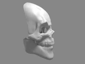 Skull 3D Print Model