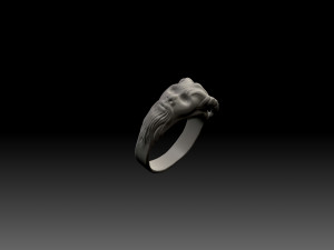 Ring head men Modelo de Impressão 3D