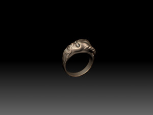 Ring head men Modelo de Impressão 3D