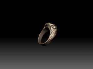 Ring head men Modelo de Impressão 3D