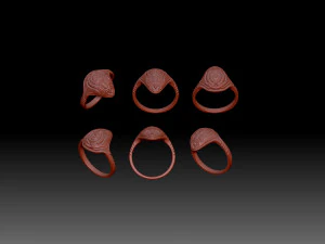 Ring Space turtle 3D Print Model