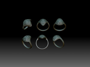 Ring Space turtle 3D-Druckmodell