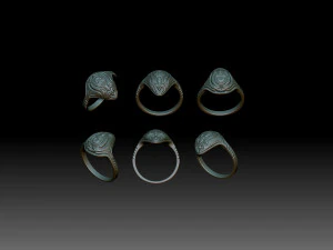 Ring Space turtle 3D Print Model