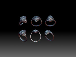 Ring Space turtle 3D-Druckmodell