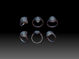 Ring Space turtle 3D Print Model