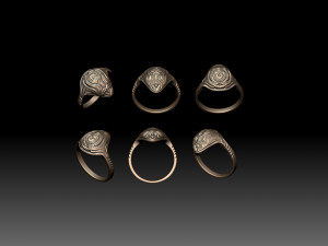 Ring Space turtle 3D-Druckmodell