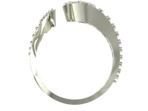 DIAMOND RING 3D 打印模型