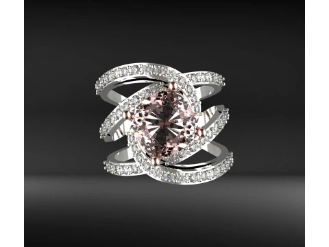 Braiding ring 3D Print Model