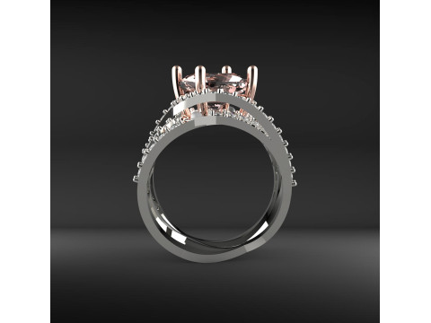 Braiding ring 3D प्रिंट मॉडल