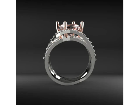 Braiding ring 3D Print Model