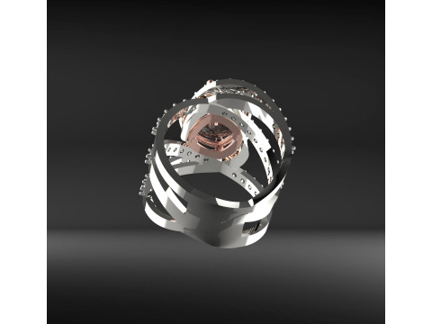 Braiding ring 3D प्रिंट मॉडल