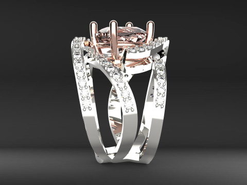 Braiding ring 3D प्रिंट मॉडल