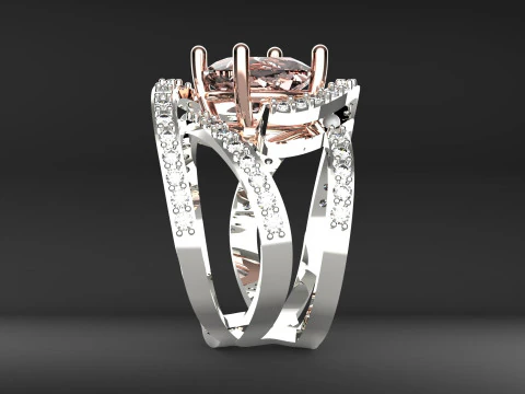 Braiding ring 3D Print Model