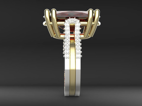 Pliers Ring 3D प्रिंट मॉडल