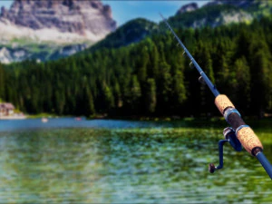 Animated Fishing Rods 3D Model