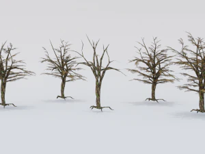 Low Poly Tree Pack 3D Model