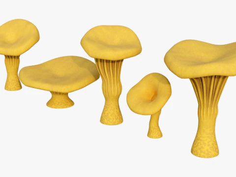 Chanterelle Mushroom Trees 3D Model