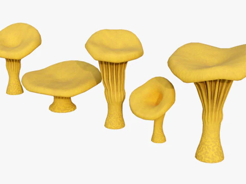 Chanterelle Mushroom Trees 3D Model